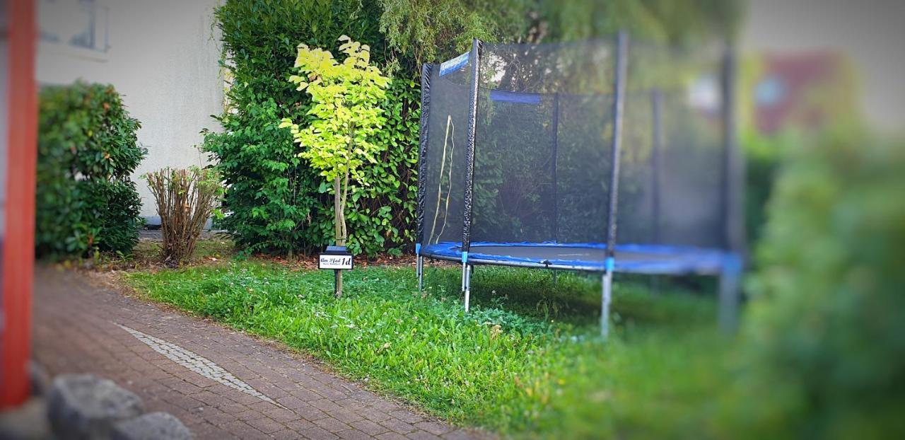 Lichtdurchflutetes Zimmer - Marienberg Lägenhet Waldbuttelbrunn Exteriör bild