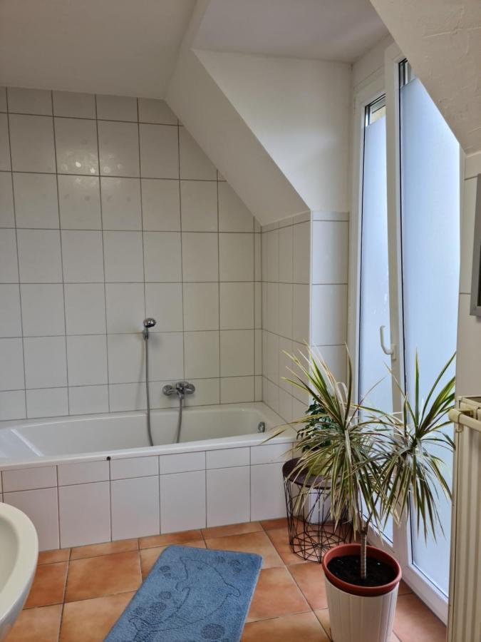 Lichtdurchflutetes Zimmer - Marienberg Waldbuttelbrunn Exteriör bild