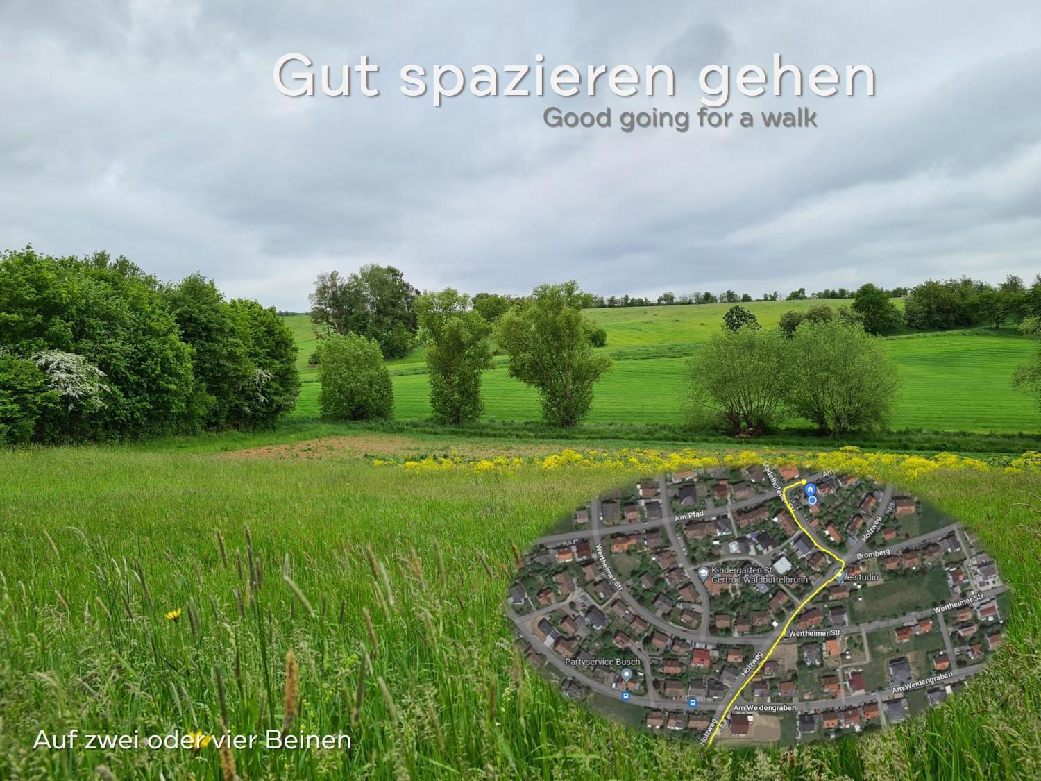 Lichtdurchflutetes Zimmer - Marienberg Waldbuttelbrunn Exteriör bild